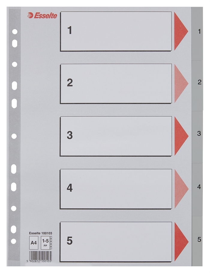 Esselte Register PP A4 1-5 grey