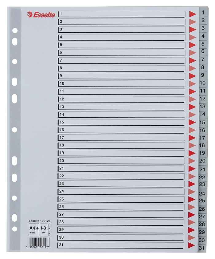 Esselte Register PP A4 maxi 1-31 grau.