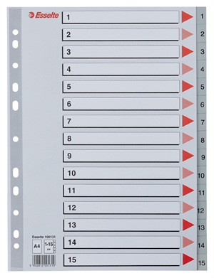 Esselte Register PP A4 1-15 grau