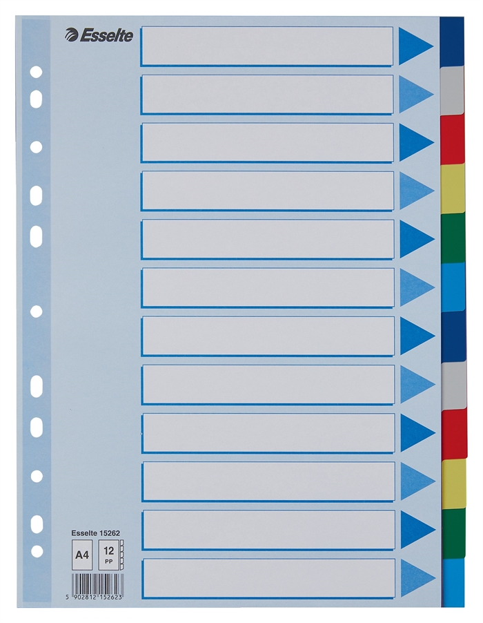 Esselte Registerblätter PP A4 12-teilige farbige Register