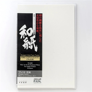 Awagami Premio Unryu - 165 g/m², 10 Blatt