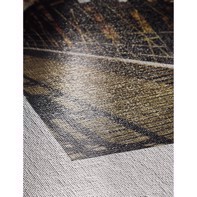 Hahnemühle Canvas Metallic 350 g/m² - 24" x 12 meter