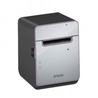 Epson TM-L100, 8 dots/mm (203 dpi)