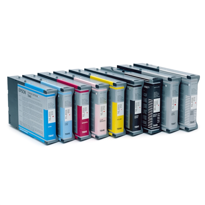 Epson Singlepack Light Black T605700