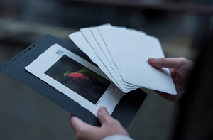 Awagami Shiramine Postcards - 260 g/m², 20 Blatt